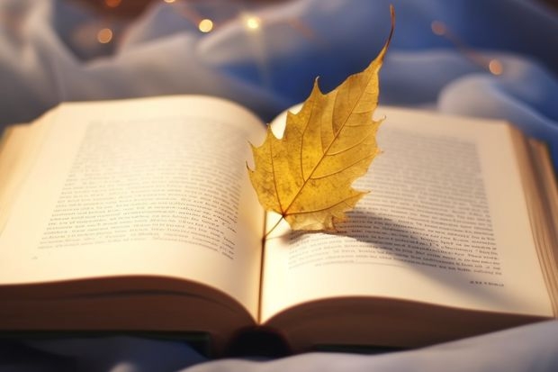 分数最低的公办专科学校！公办大专最低多少分能上（参考）