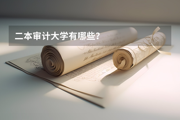 二本审计大学有哪些？