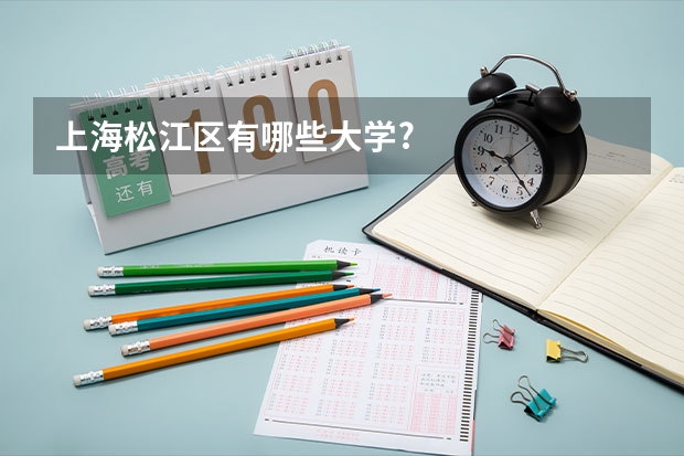 上海松江区有哪些大学?