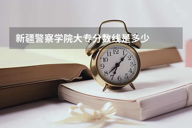 新疆警察学院大专分数线是多少
