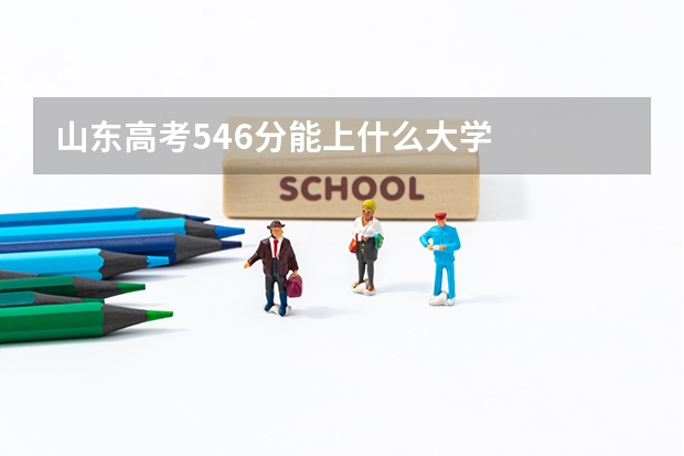 山东高考546分能上什么大学