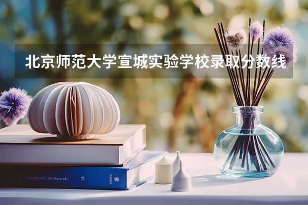 北京师范大学宣城实验学校录取分数线 合工大宣城校区分数线