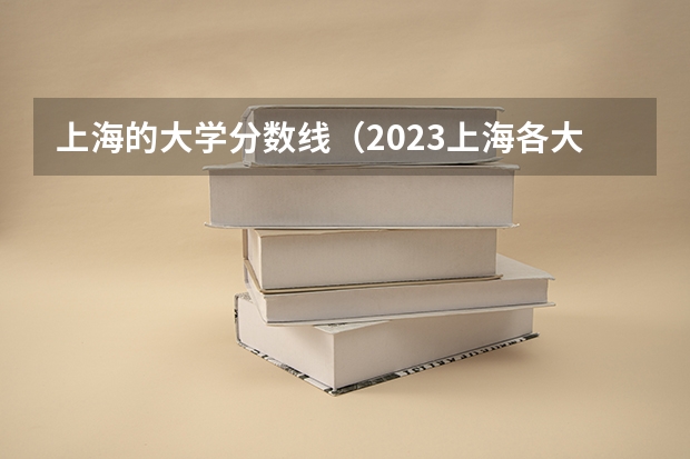 上海的大学分数线（2023上海各大学录取分数线）