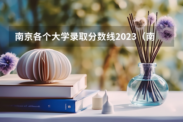 南京各个大学录取分数线2023（南京二本大学排名及分数线）