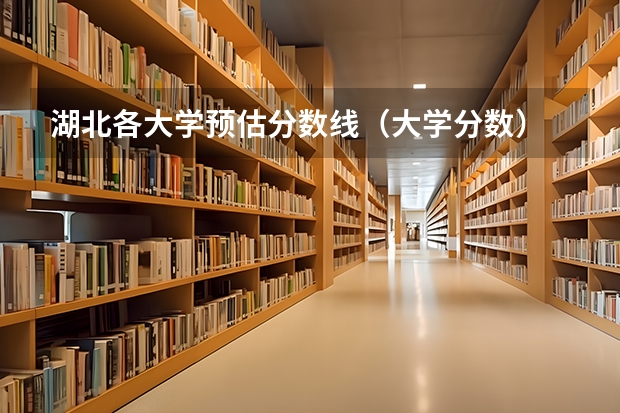湖北各大学预估分数线（大学分数）