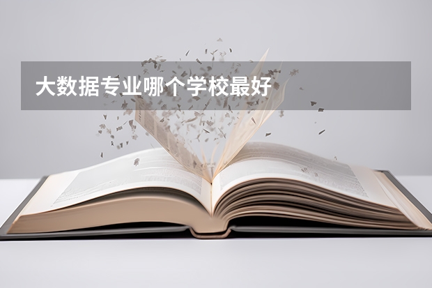 大数据专业哪个学校最好