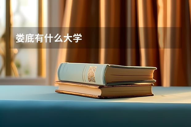 娄底有什么大学