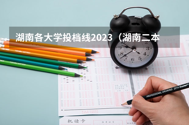 湖南各大学投档线2023（湖南二本民办大学排名及分数线）