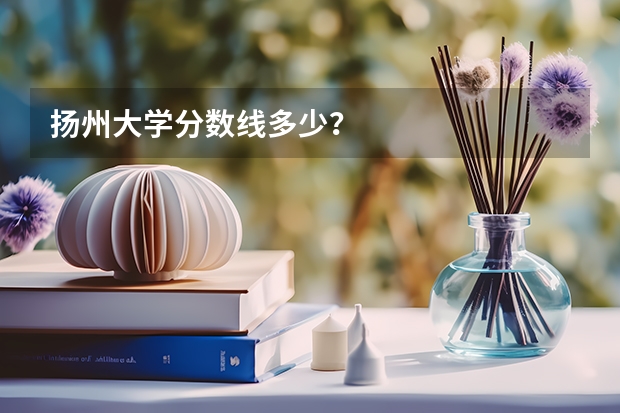 扬州大学分数线多少？