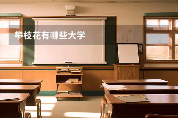 攀枝花有哪些大学
