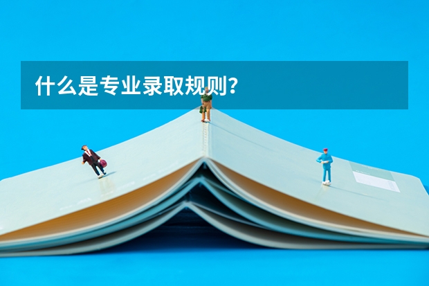 什么是专业录取规则？