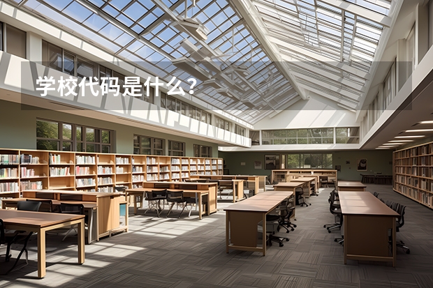 学校代码是什么？