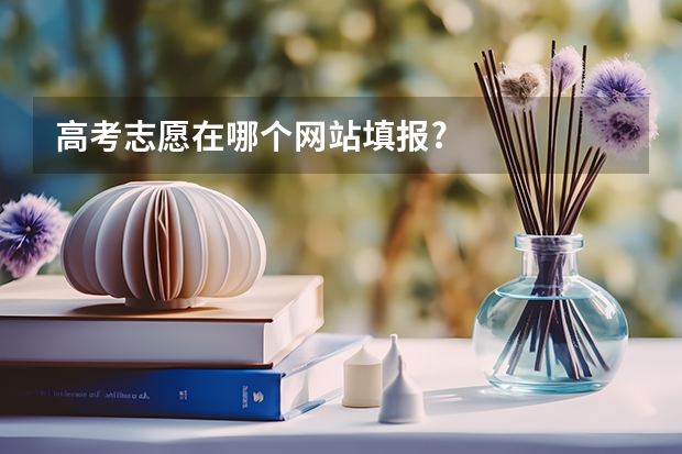 高考志愿在哪个网站填报?