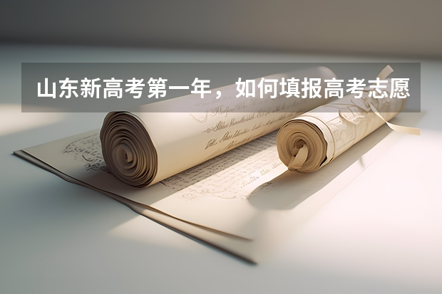 山东新高考第一年,如何填报高考志愿?