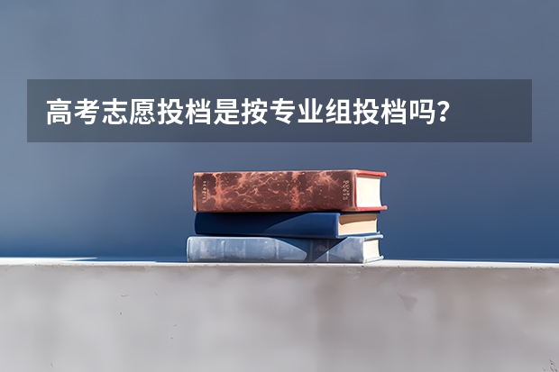 高考志愿投档是按专业组投档吗？
