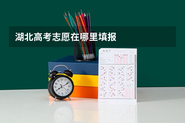 湖北高考志愿在哪里填报