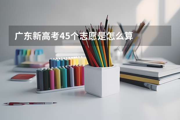 广东新高考45个志愿是怎么算
