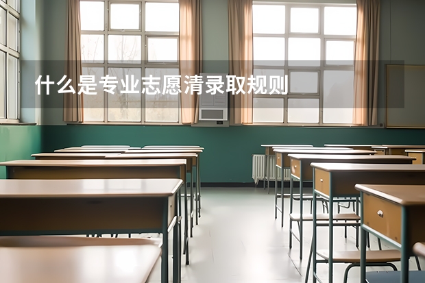 什么是专业志愿清录取规则
