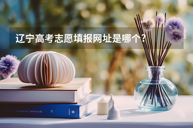 辽宁高考志愿填报网址是哪个?