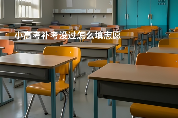 小高考补考没过怎么填志愿