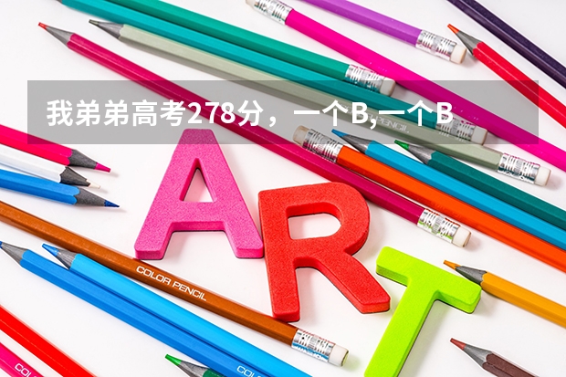 我弟弟高考278分，一个B,一个B+,江苏考生，能上些什么学校？