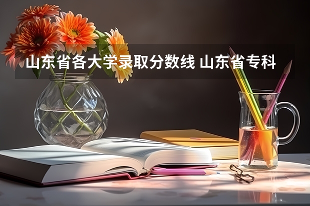 山东省各大学录取分数线 山东省专科学校排名及分数线