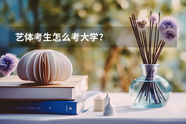 艺体考生怎么考大学?