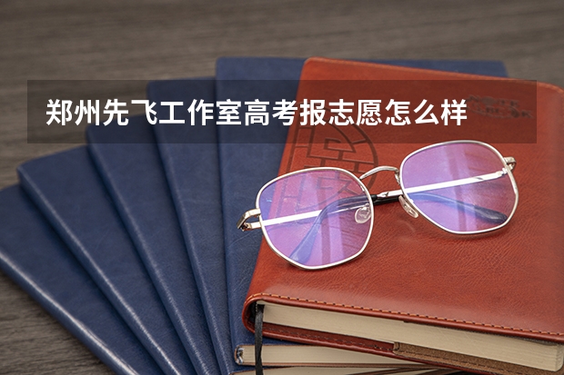 郑州先飞工作室高考报志愿怎么样