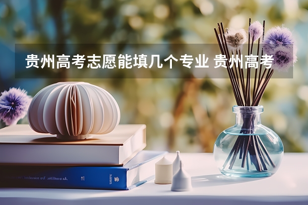 贵州高考志愿能填几个专业 贵州高考地方专项计划第2次征集志愿的说明
