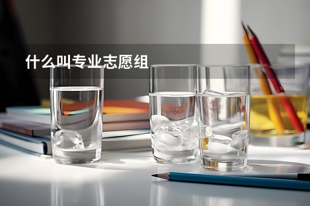 什么叫专业志愿组