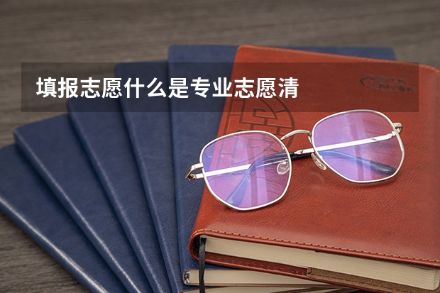 填报志愿什么是专业志愿清