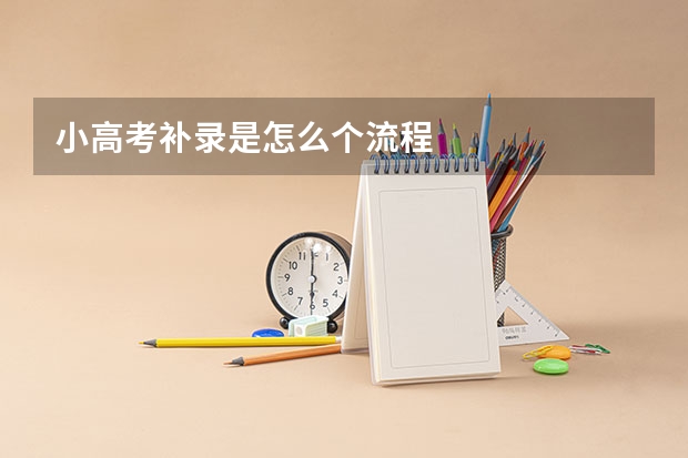 小高考补录是怎么个流程