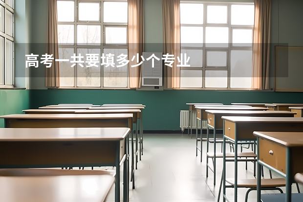 高考一共要填多少个专业