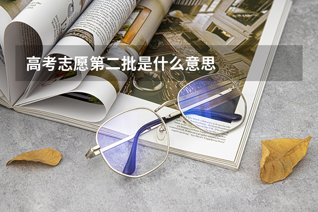 高考志愿第二批是什么意思