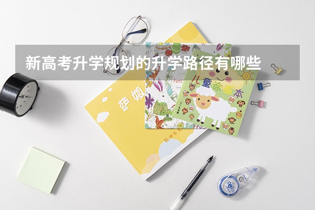新高考升学规划的升学路径有哪些