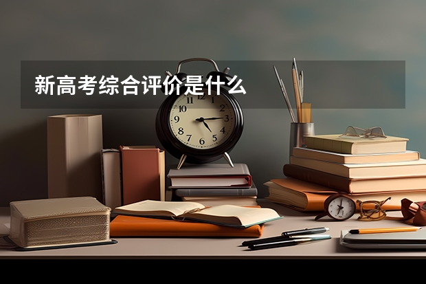 新高考综合评价是什么