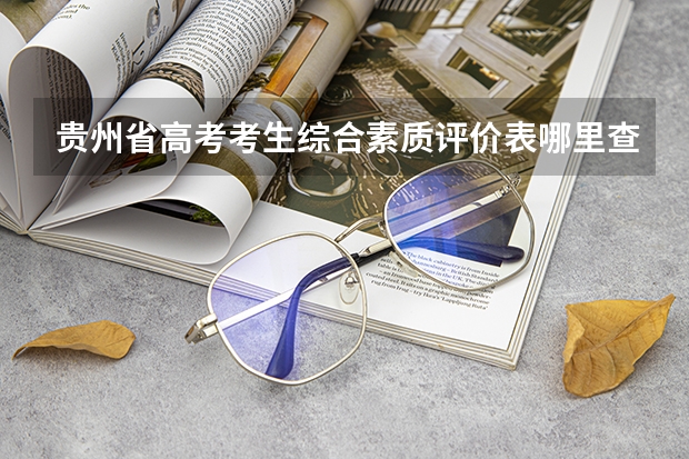贵州省高考考生综合素质评价表哪里查询