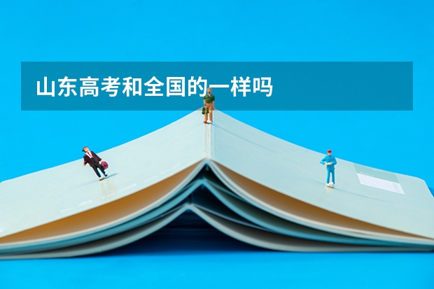 山东高考和全国的一样吗