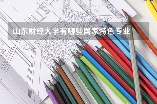 山东财经大学有哪些国家特色专业