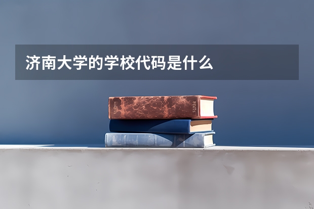 济南大学的学校代码是什么