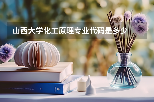 山西大学化工原理专业代码是多少