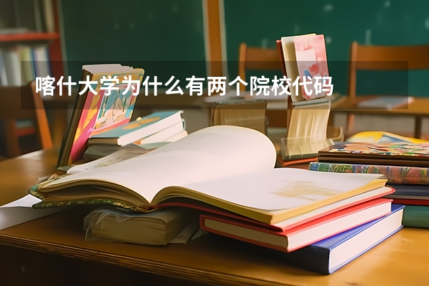喀什大学为什么有两个院校代码