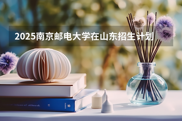 2025南京邮电大学在山东招生计划预测