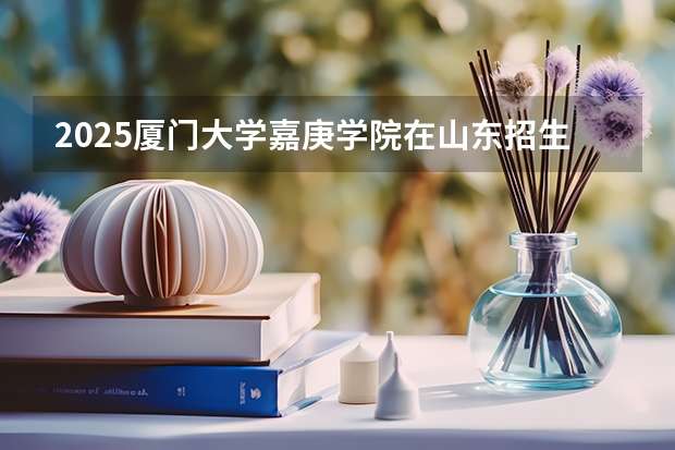 2025厦门大学嘉庚学院在山东招生计划预测
