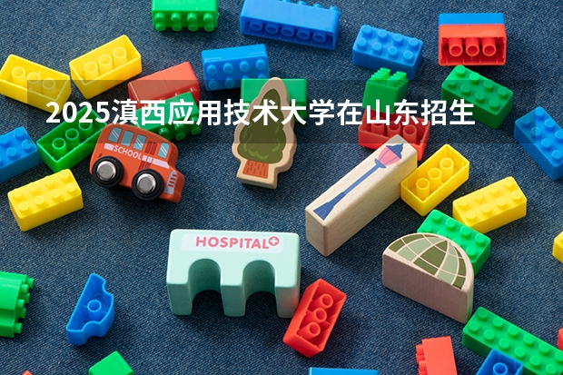 2025滇西应用技术大学在山东招生计划预测