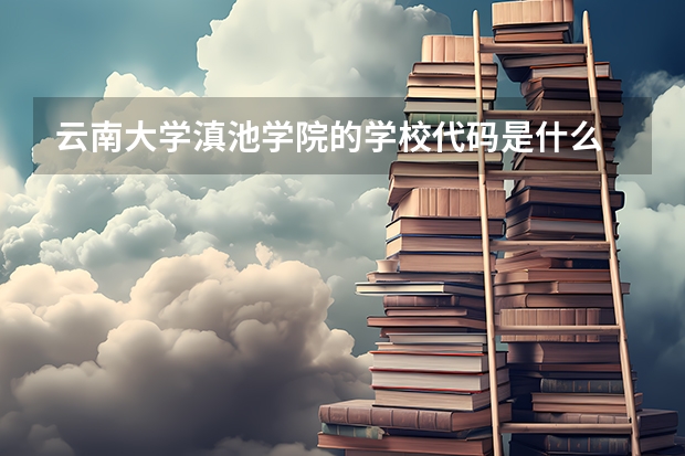 云南大学滇池学院的学校代码是什么