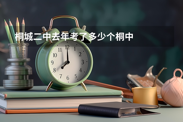 桐城二中去年考了多少个桐中