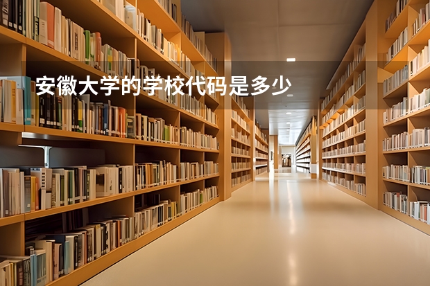安徽大学的学校代码是多少