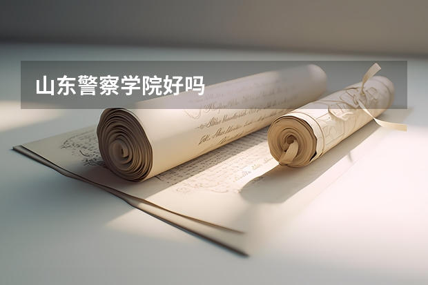 山东警察学院好吗