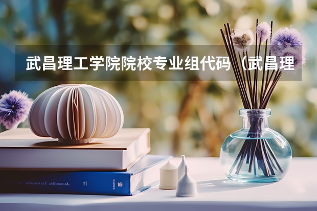 武昌理工学院院校专业组代码（武昌理工学院院校专业组代码）